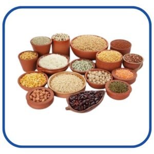 தானியங்கள் (Grains)